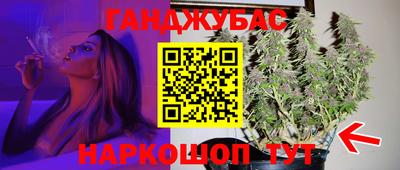 гидра Краснознаменск