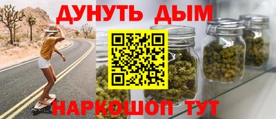 гидра Краснознаменск