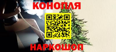 прущие крисы Бийск