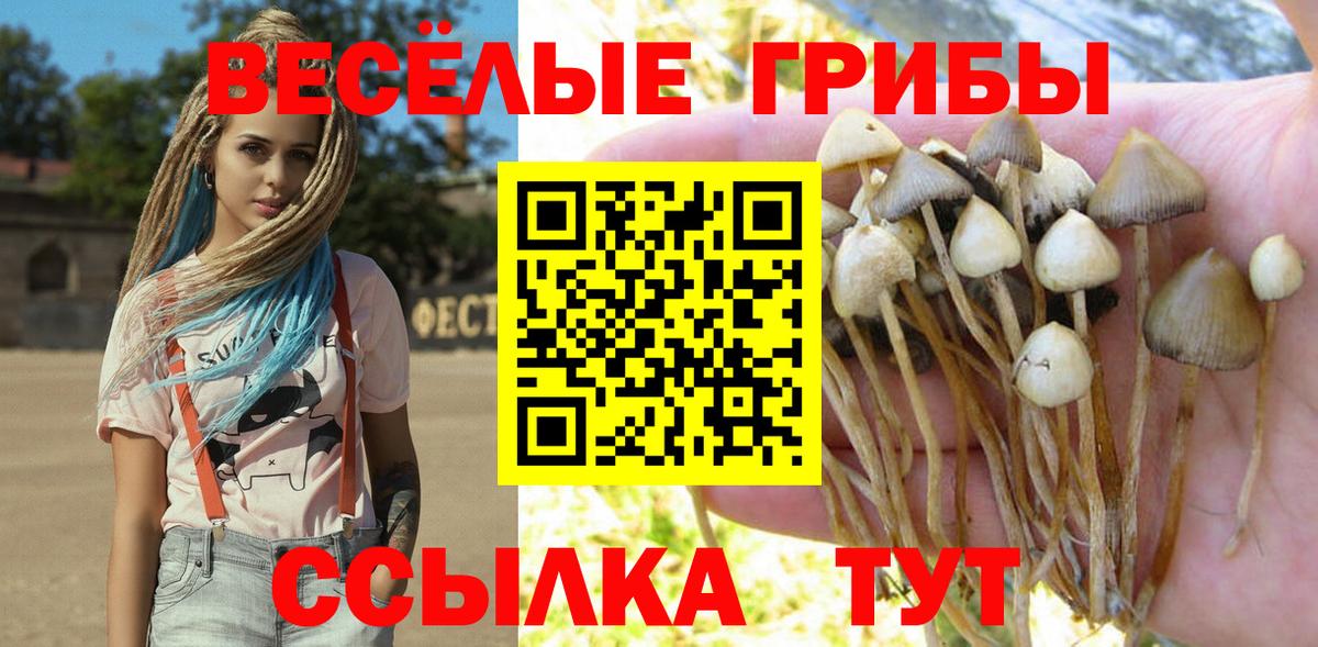 Галлюциногенные грибы Cubensis Майский