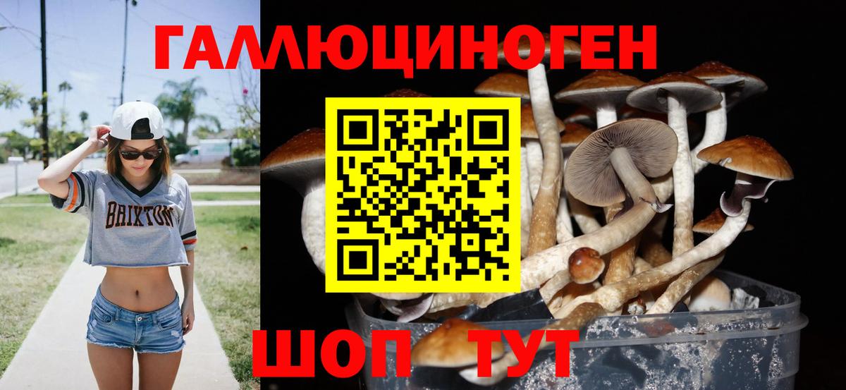 Галлюциногенные грибы мицелий  Майский  Галлюциногенные грибы Magic Shrooms 